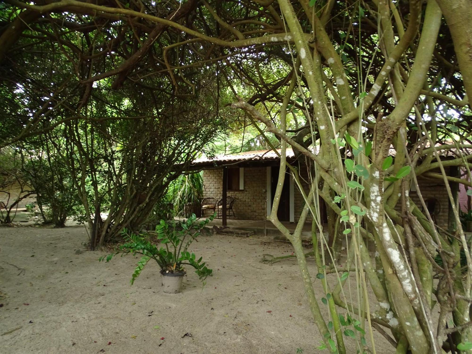 Jungle House Hotel São Miguel do Gostoso Eksteriør billede