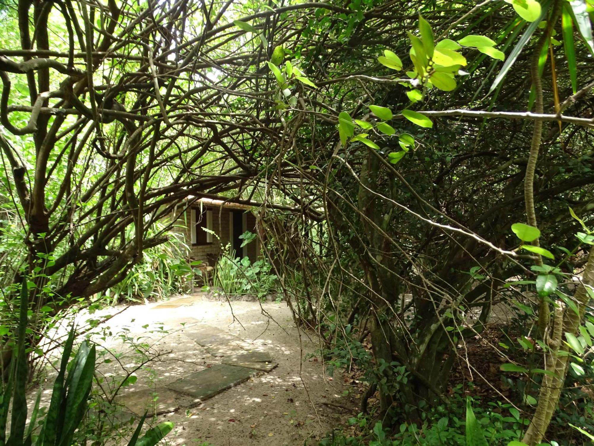Jungle House Hotel São Miguel do Gostoso Eksteriør billede