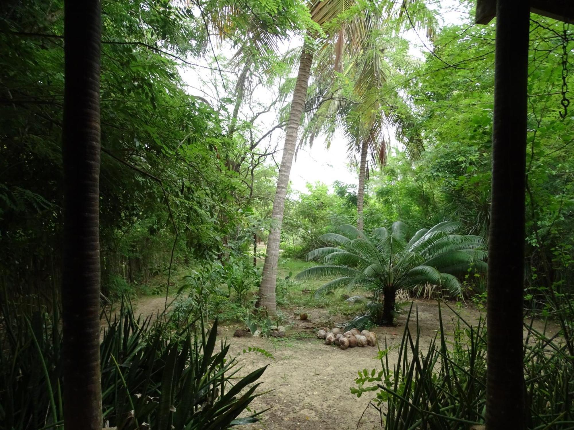 Jungle House Hotel São Miguel do Gostoso Eksteriør billede